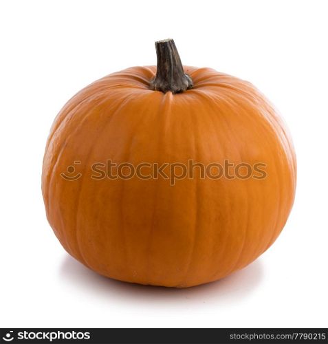 One orange pumpkin isolated on white background, Halloween concept. One orange pumpkin