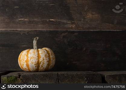 One orange pumpkin on dark wooden background, Halloween concept. Pumpkin on wooden background