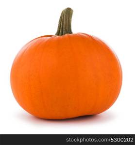 One orange pumpkin. One orange pumpkin isolated on white background, Halloween concept