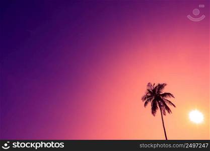One palm tree silhouette over tropical colorful clear sunset sky with shining sun and copy space
