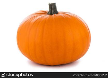 One perfect orange pumpkin isolated on white background , Halloween concept. One orange pumpkin