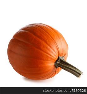 One perfect pumpkin isolated on white background. Pumpkin isolated on white
