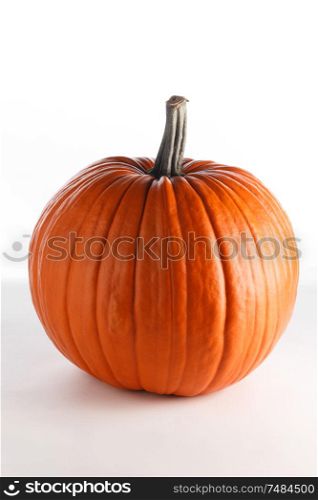 One perfect pumpkin isolated on white background. Pumpkin isolated on white