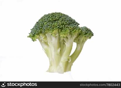 One piece of brocolli isolated on white background.