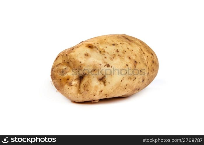 One potato isolated on a white background