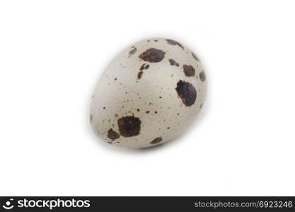 one quail egg, isolated on white background