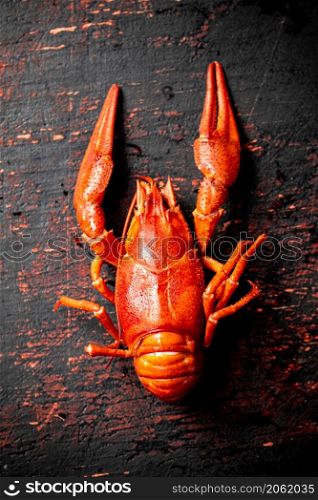 One red boiled crayfish on the table. Against a dark background. High quality photo. One red boiled crayfish on the table.