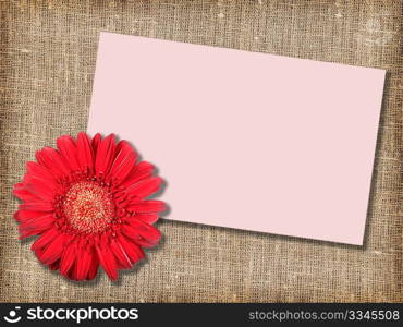 One red flower with message-card on textile background. Close-up. Studio photography.