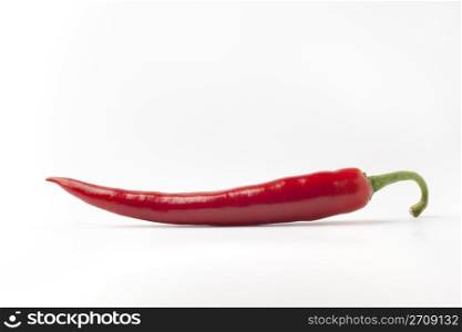 One red hot chili pepper On White Background