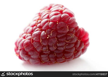 one red macro raspberry over white background