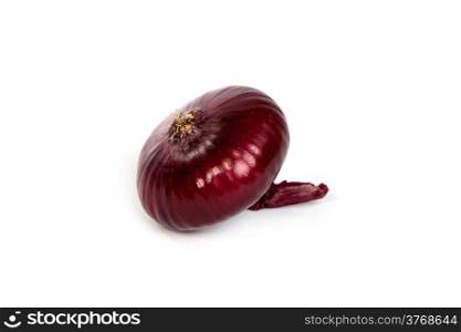 One red onion, isolated against white background