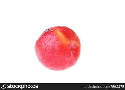 one red plum isolated on white