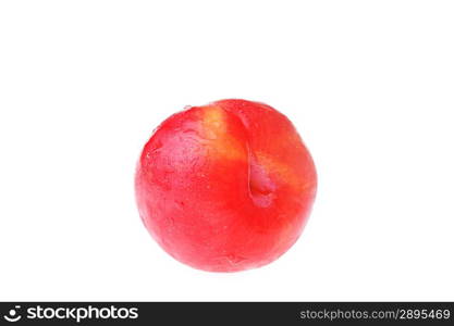 one red plum isolated on white