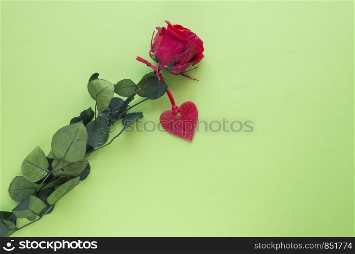 One red rose with a heart on a green surface. Valentine's concept