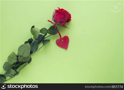 One red rose with a heart on a green surface. Valentine's concept