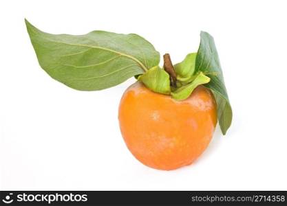 one ripe persimmon isolated on white background