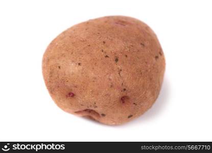 One ripe potato isolated on the white background