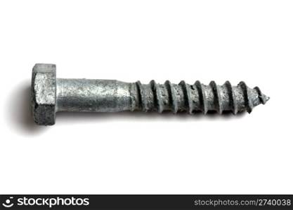 One screw isolated on white background