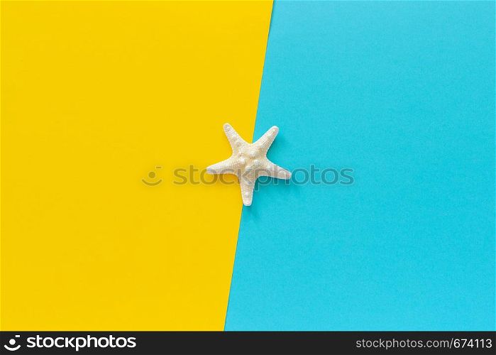 One sea starfish on blue and yellow paper background Minimal style Copy space Template for lettering, text or your design Creative Top View.. One sea starfish on blue and yellow paper background Minimal style Copy space Template for lettering, text or your design Creative Top View