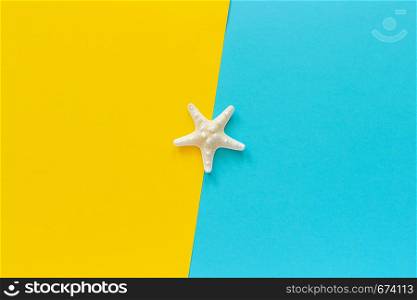 One sea starfish on blue and yellow paper background Minimal style Copy space Template for lettering, text or your design Creative Top View.. One sea starfish on blue and yellow paper background Minimal style Copy space Template for lettering, text or your design Creative Top View