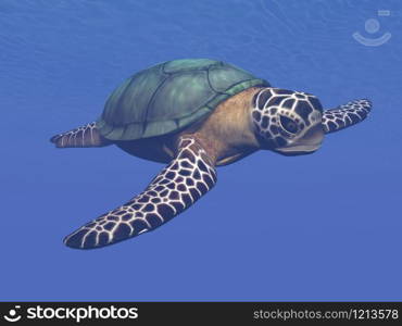 One sea turtle swimming into deep blue water. Sea turtle - 3D render