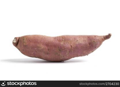 One single Sweet potatoe