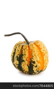 One small striped yellow pumpkin isolated on white background , Halloween concept. One striped pumpkin