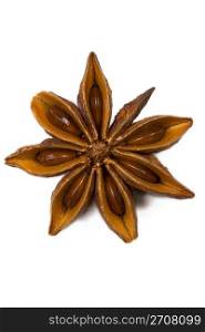 one star anise closeup. closeup of one star anise on white background
