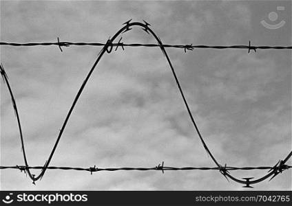 One strand of barbed wire winds around two other wires and forms a sine wave silhouetted against the sky. (Scanned from black and white film.)