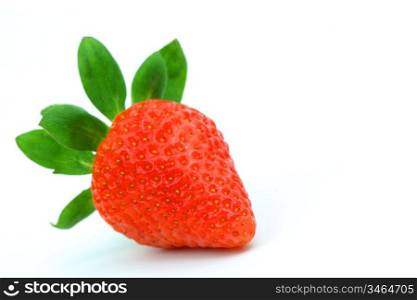 one strawberry isolated on white