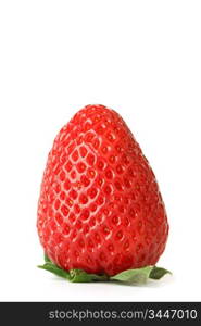 one strawberry on white background