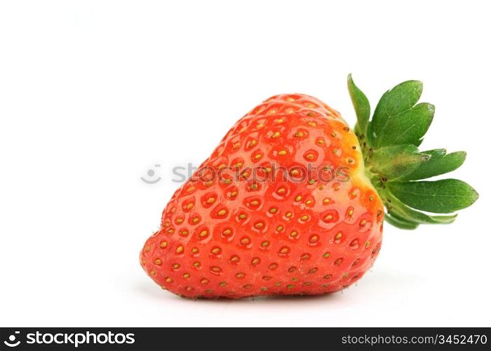 one strawberry on white background