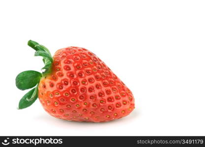 one strawberry on white background