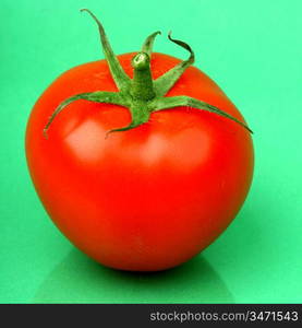 one tomato on green background