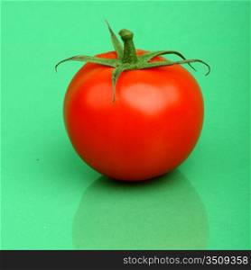 one tomato on green background