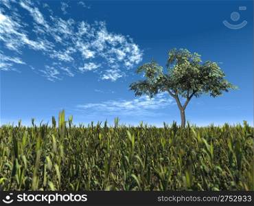 One tree on a background of the clean sky and a realistic grass in the foreground not in focus