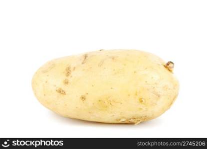 one unpeeled yellow potato isolated on white background