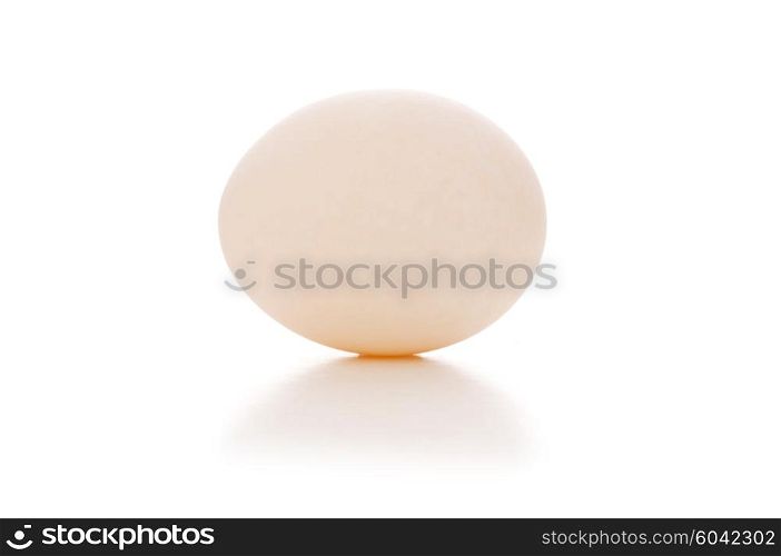 One white egg isolated on the white