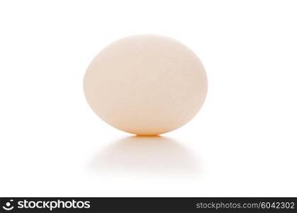 One white egg isolated on the white