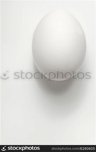 one white egg on white background, isolated