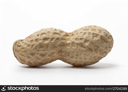 One whole Peanut