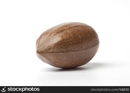 One whole single pecan nut