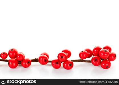 One winterberry Christmas branch with red holly berries