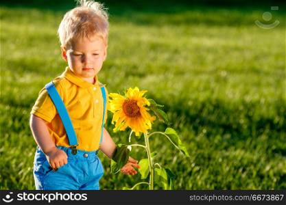 One year old baby boy looking at sunflower. Portrait of toddler child outdoors. Rural scene with one year old baby boy looking at sunflower