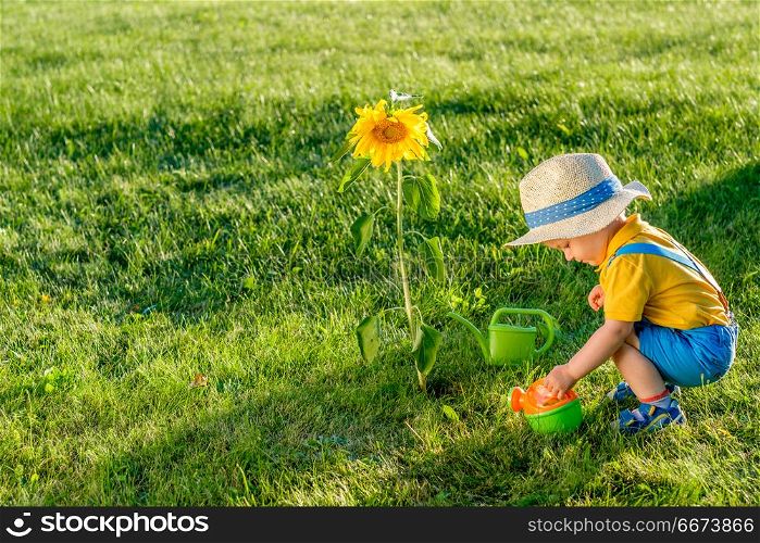 One year old baby boy using watering can for sunflower. Portrait of toddler child outdoors. Rural scene with one year old baby boy wearing straw hat using watering can for sunflower