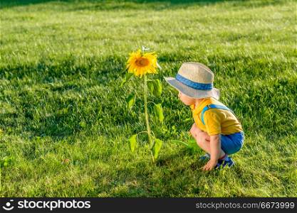 One year old baby boy using watering can for sunflower. Portrait of toddler child outdoors. Rural scene with one year old baby boy wearing straw hat using watering can for sunflower