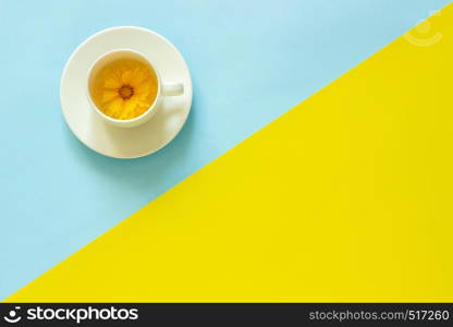 One yellow Coreopsis flower in cup on yellow and blue paper background Minimal style Copy space Template for lettering, text or your design Creative Top View. One yellow Coreopsis flower in cup on yellow and blue paper background Minimal style Copy space Template for lettering, text or your design. Creative Top View