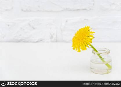 One yellow dandelion in bottle vase on table background white brick wall Copy space Minimal style. Template for postcard, text, design Concept Women's day, Mothers Day, Hello summer or Hello spring.. One yellow dandelion in bottle vase on table background white brick wall Copy space Minimal style. Template for postcard, text, design Concept Women's day, Mothers Day, Hello summer or Hello spring
