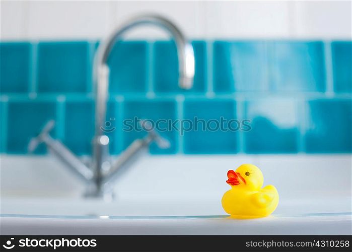 One yellow rubber duck for bathtime