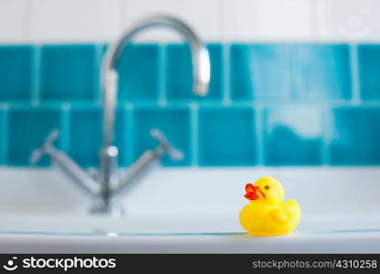 One yellow rubber duck for bathtime